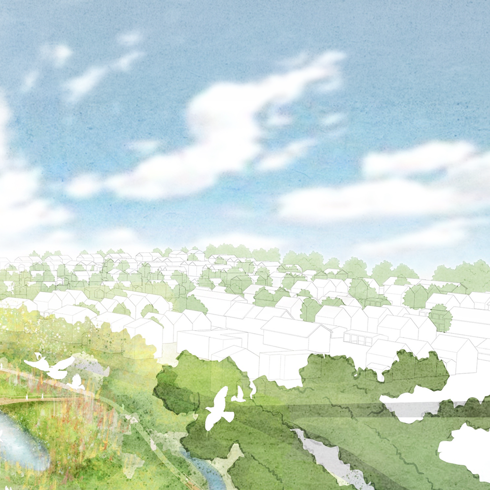 Illustrated aerial view of a proposed housing scheme, with wetland and birds in the foreground