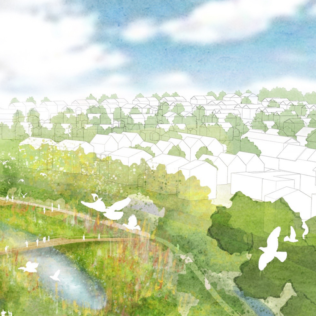 Illustrated view over a proposed housing scheme, with a lakeside path and birds in flight