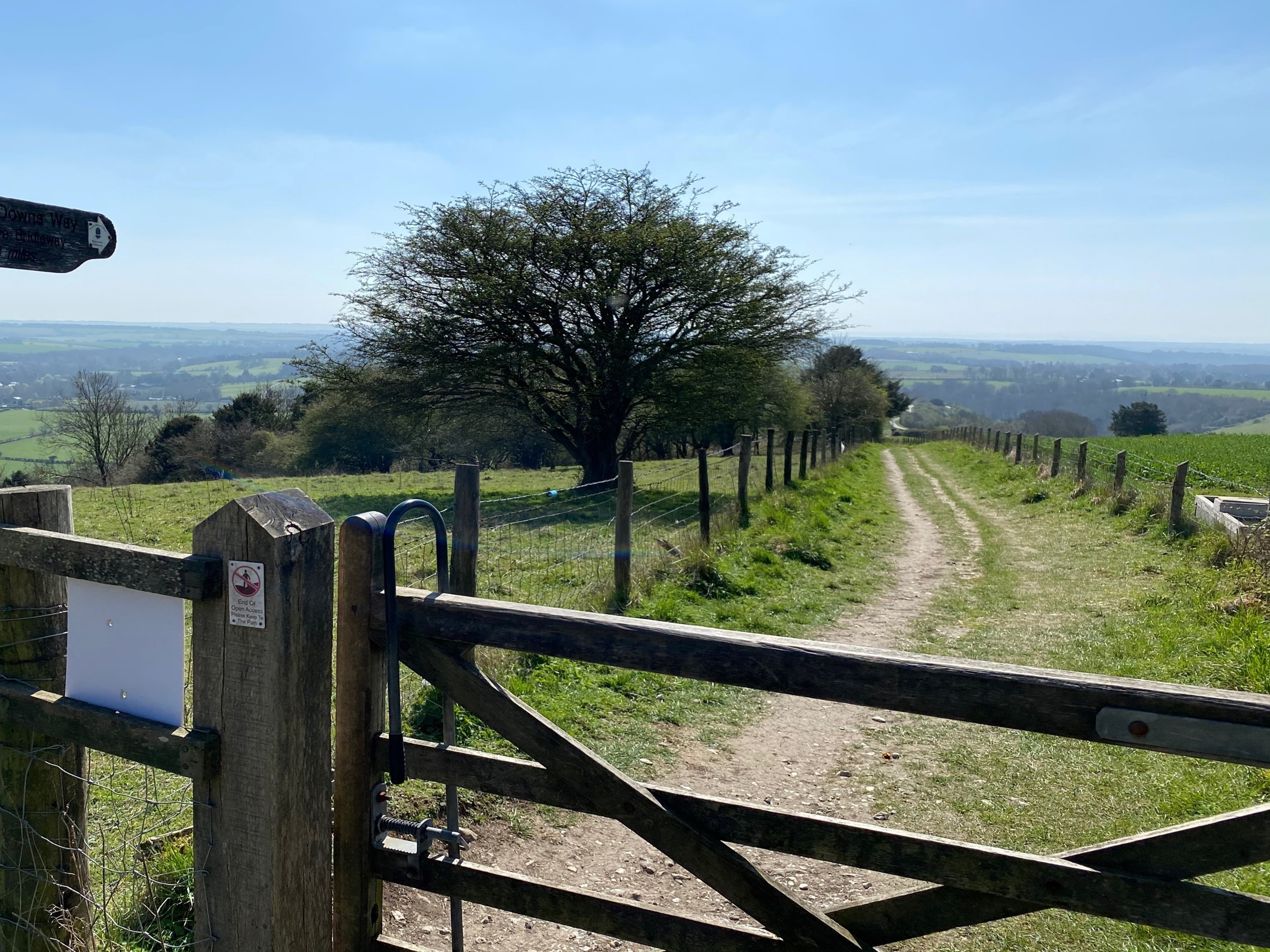 View of the Trail